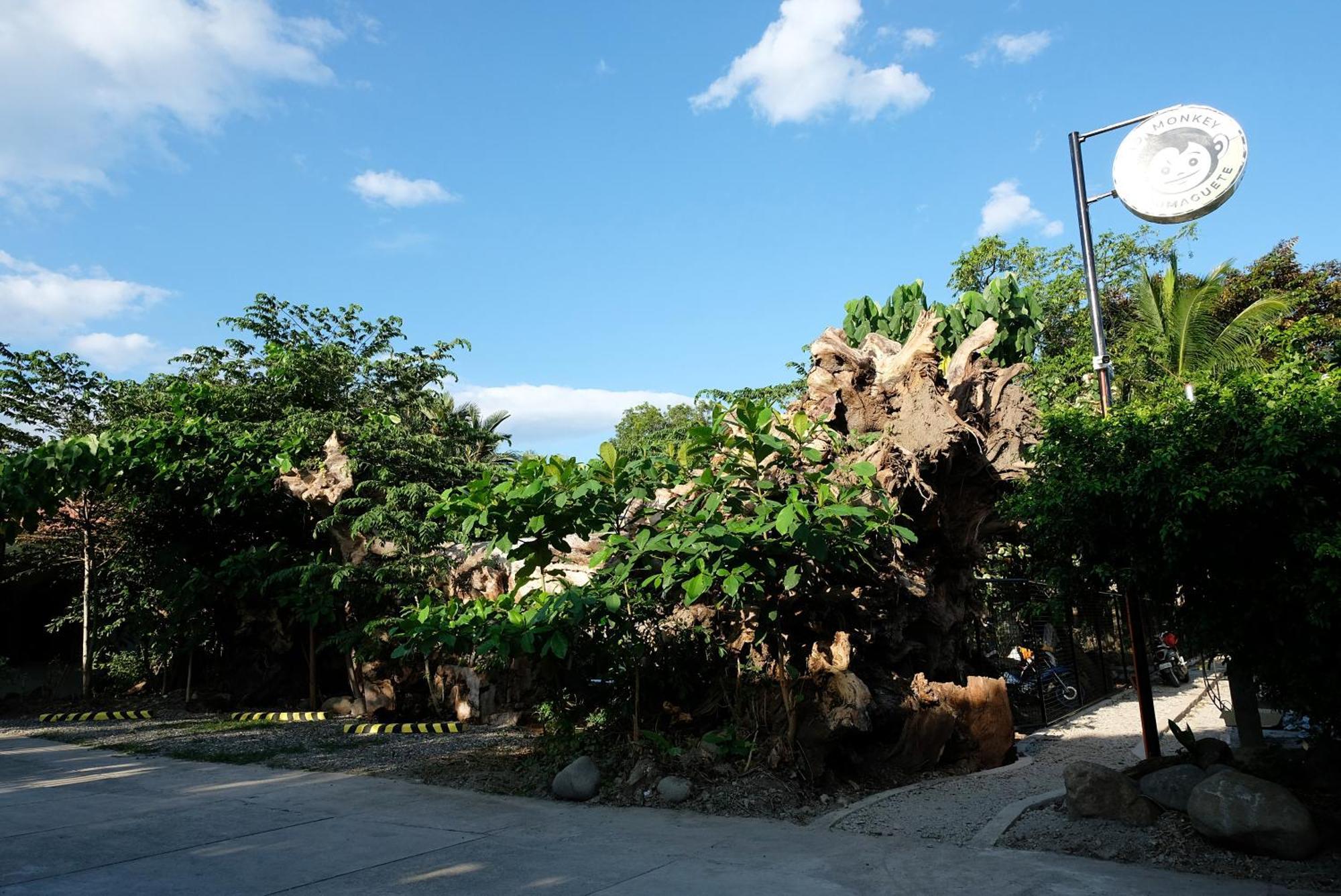 Mad Monkey Dumaguete Vandrerhjem Dumaguete City Eksteriør bilde